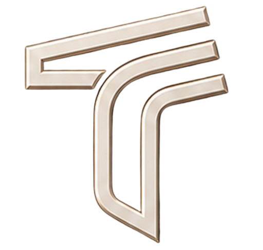 Logo Thermavisiona